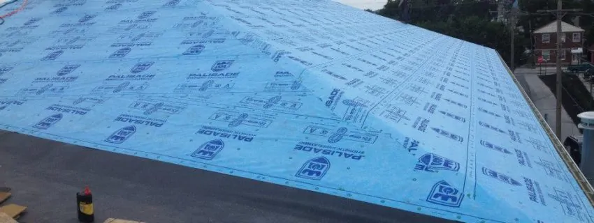 Metal Roof Before